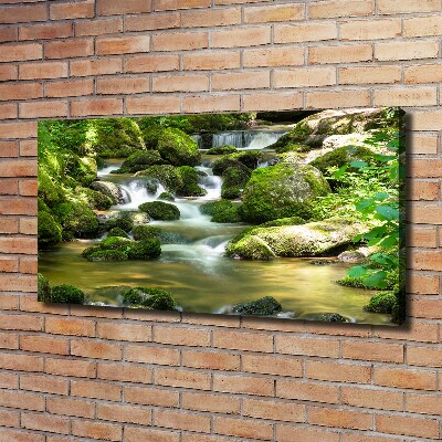 Foto obraz canvas Wodospad