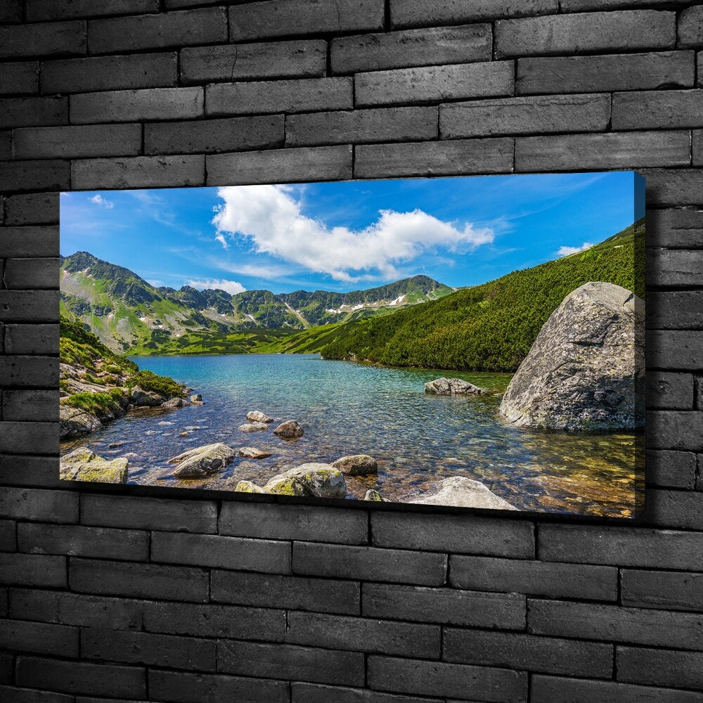 Duży Foto obraz na płótnie Dolina Tatry
