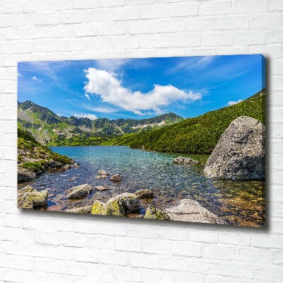 Duży Foto obraz na płótnie Dolina Tatry