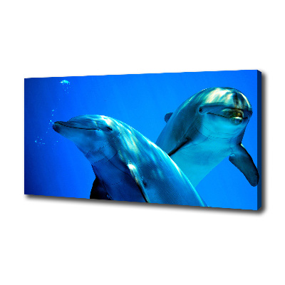 Foto obraz canvas Dwa delfiny