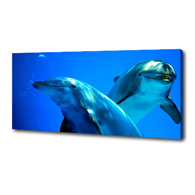 Foto obraz canvas Dwa delfiny