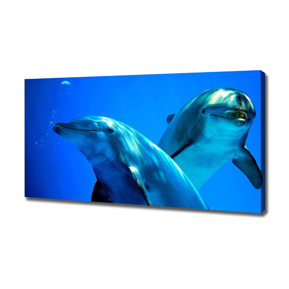 Foto obraz canvas Dwa delfiny