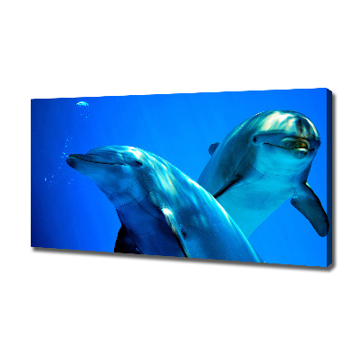 Foto obraz canvas Dwa delfiny