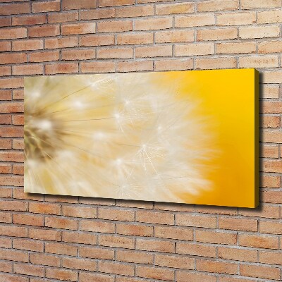 Foto obraz canvas Dmuchawiec