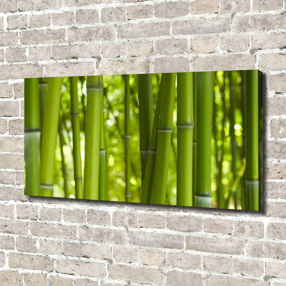 Duży foto obraz na ścianę canvas Bambus