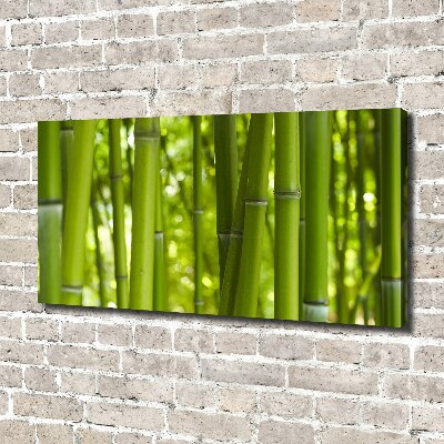 Duży foto obraz na ścianę canvas Bambus