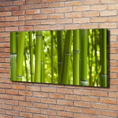 Duży foto obraz na ścianę canvas Bambus