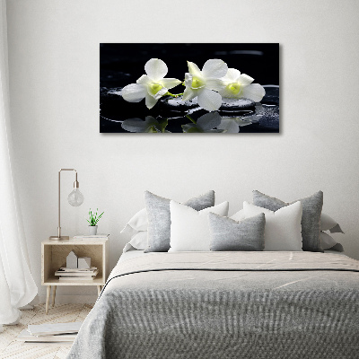 Foto obraz canvas Orchidea