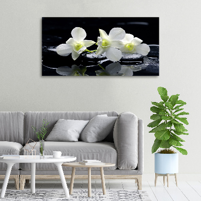 Foto obraz canvas Orchidea