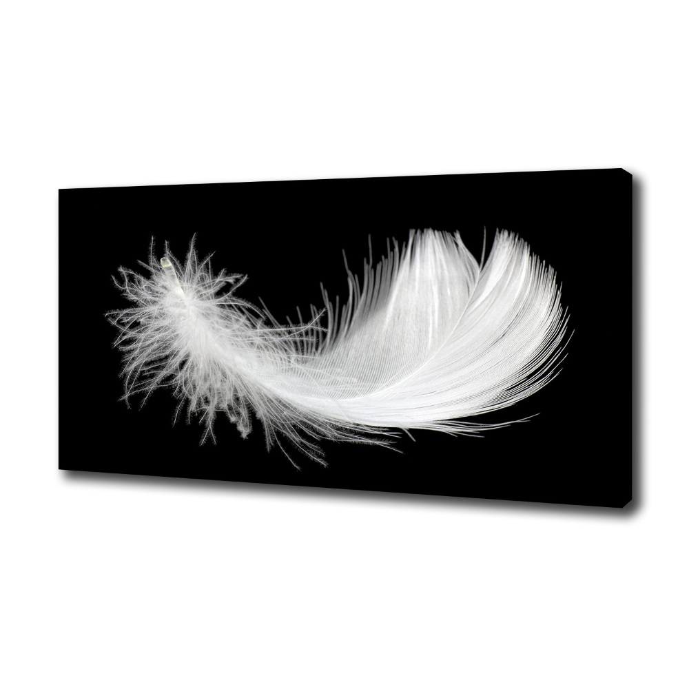 Duży foto obraz na ścianę canvas Piórko