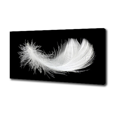 Duży foto obraz na ścianę canvas Piórko