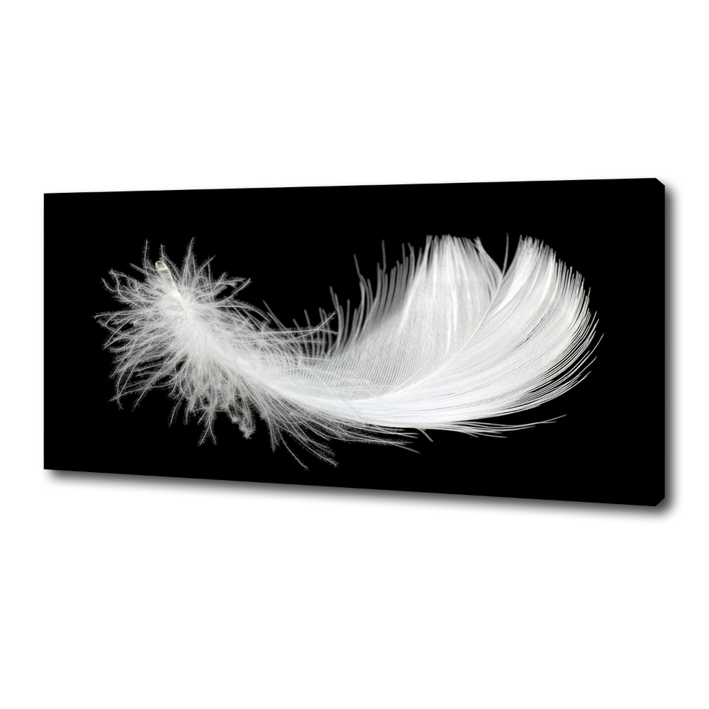 Duży foto obraz na ścianę canvas Piórko