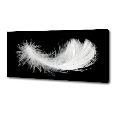 Duży foto obraz na ścianę canvas Piórko