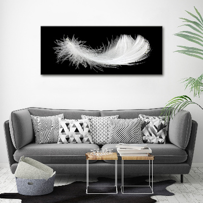 Duży foto obraz na ścianę canvas Piórko