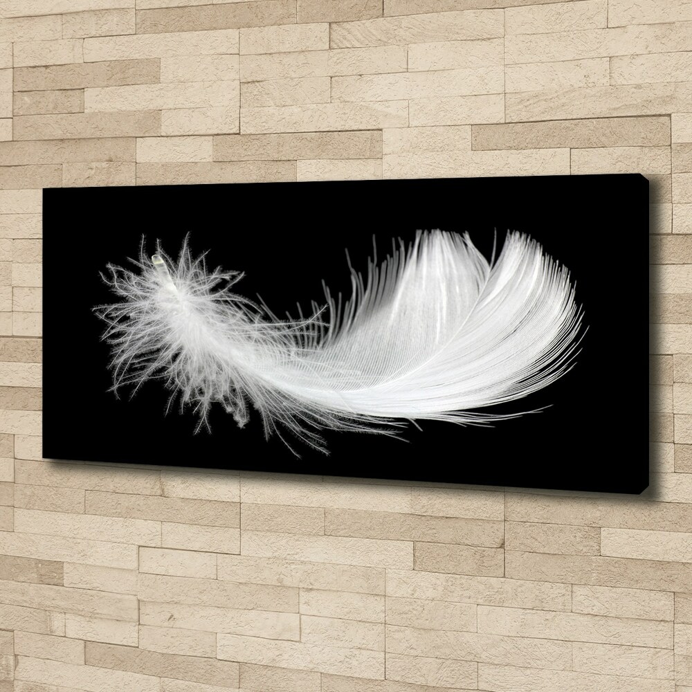 Duży foto obraz na ścianę canvas Piórko