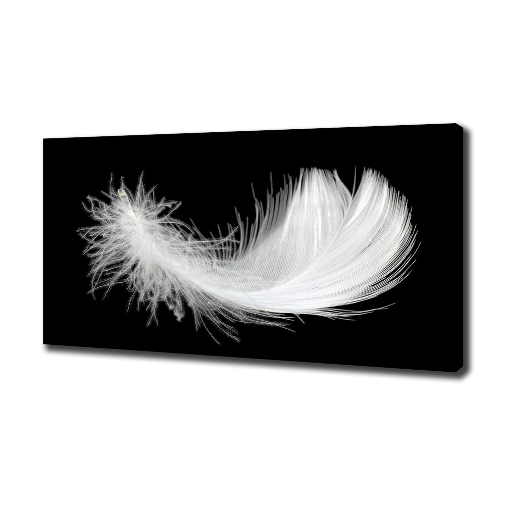 Duży foto obraz na ścianę canvas Piórko