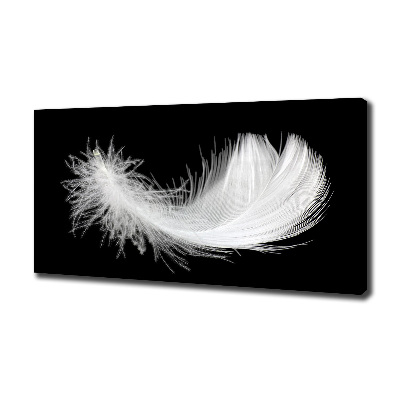 Duży foto obraz na ścianę canvas Piórko