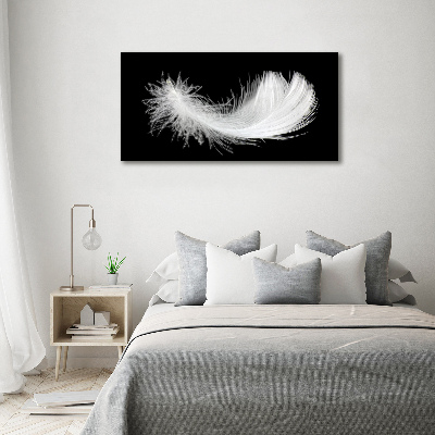 Duży foto obraz na ścianę canvas Piórko