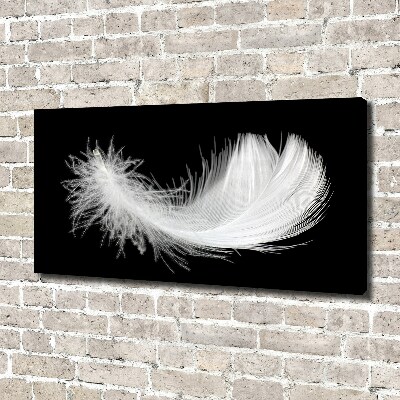 Duży foto obraz na ścianę canvas Piórko