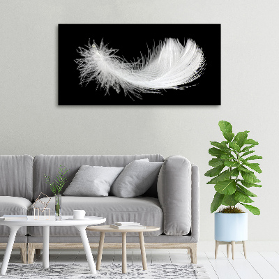 Duży foto obraz na ścianę canvas Piórko