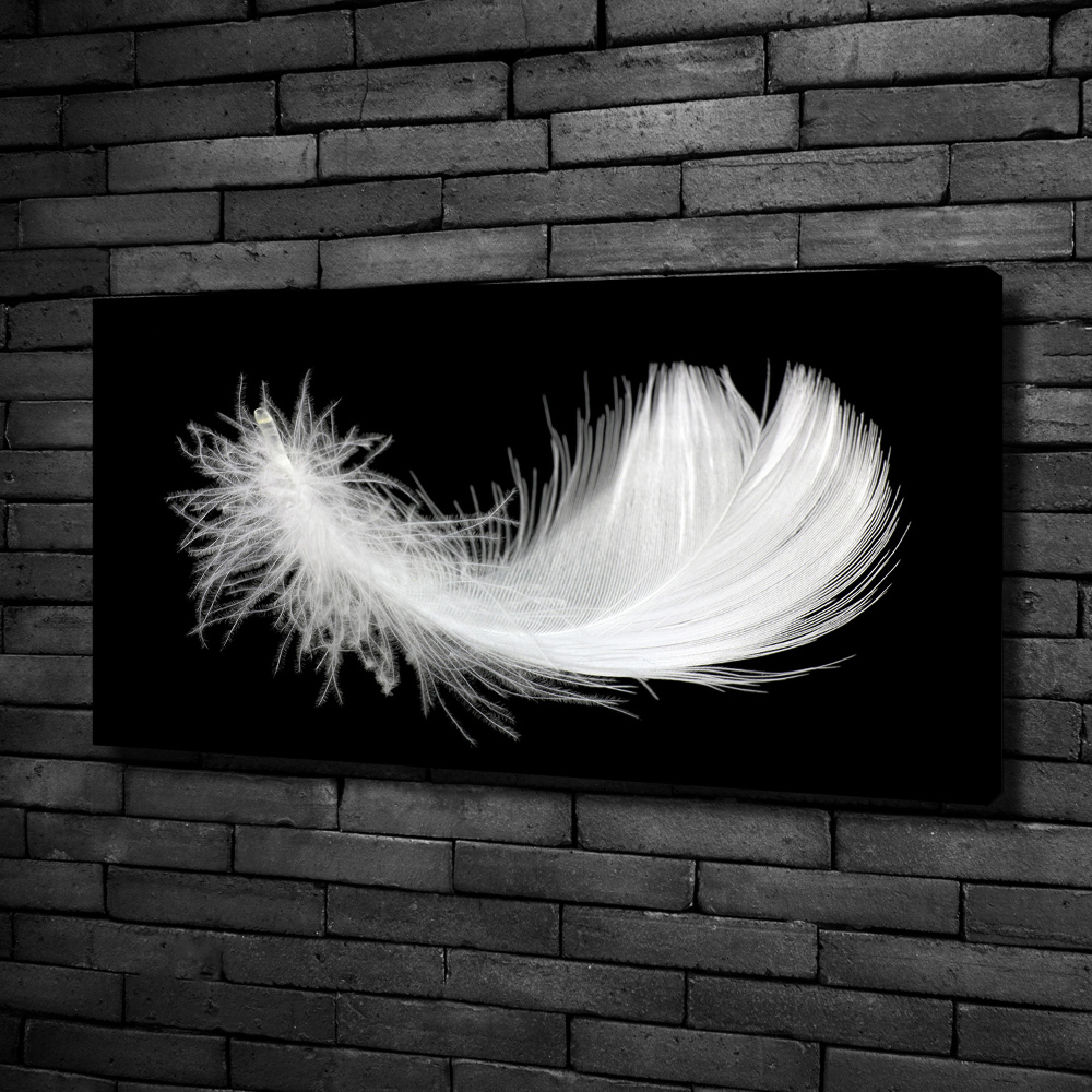 Duży foto obraz na ścianę canvas Piórko