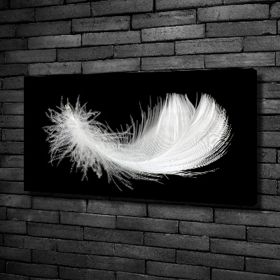 Duży foto obraz na ścianę canvas Piórko