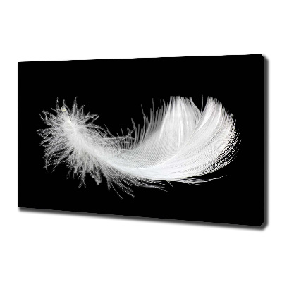 Duży foto obraz na ścianę canvas Piórko