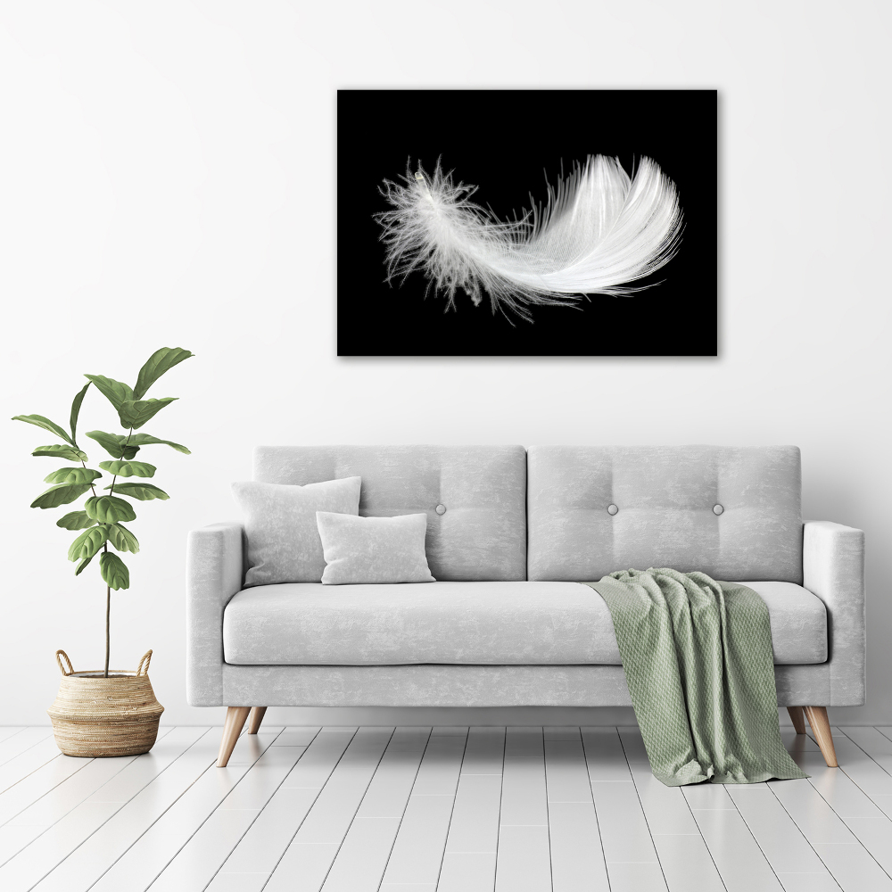 Duży foto obraz na ścianę canvas Piórko