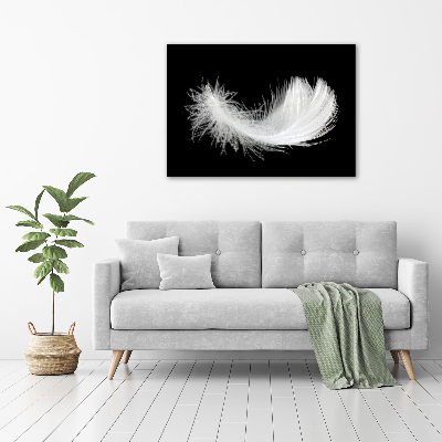 Duży foto obraz na ścianę canvas Piórko