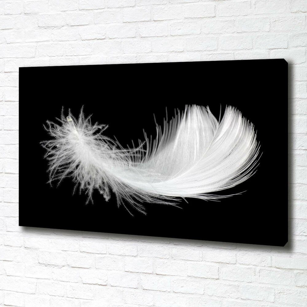 Duży foto obraz na ścianę canvas Piórko