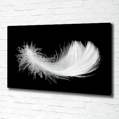 Duży foto obraz na ścianę canvas Piórko