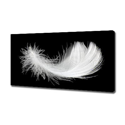 Duży foto obraz na ścianę canvas Piórko