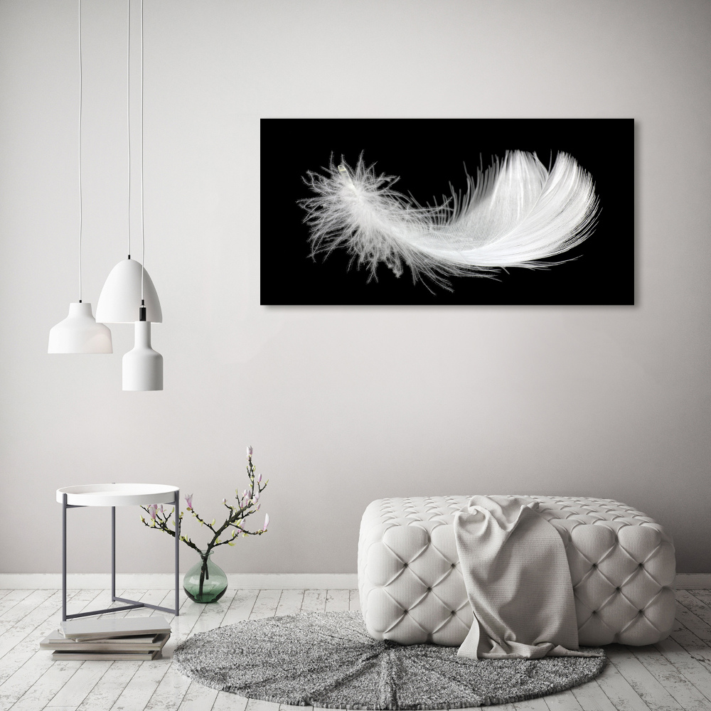 Duży foto obraz na ścianę canvas Piórko