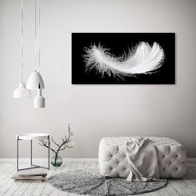 Duży foto obraz na ścianę canvas Piórko