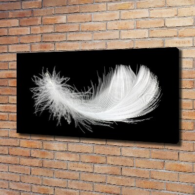 Duży foto obraz na ścianę canvas Piórko