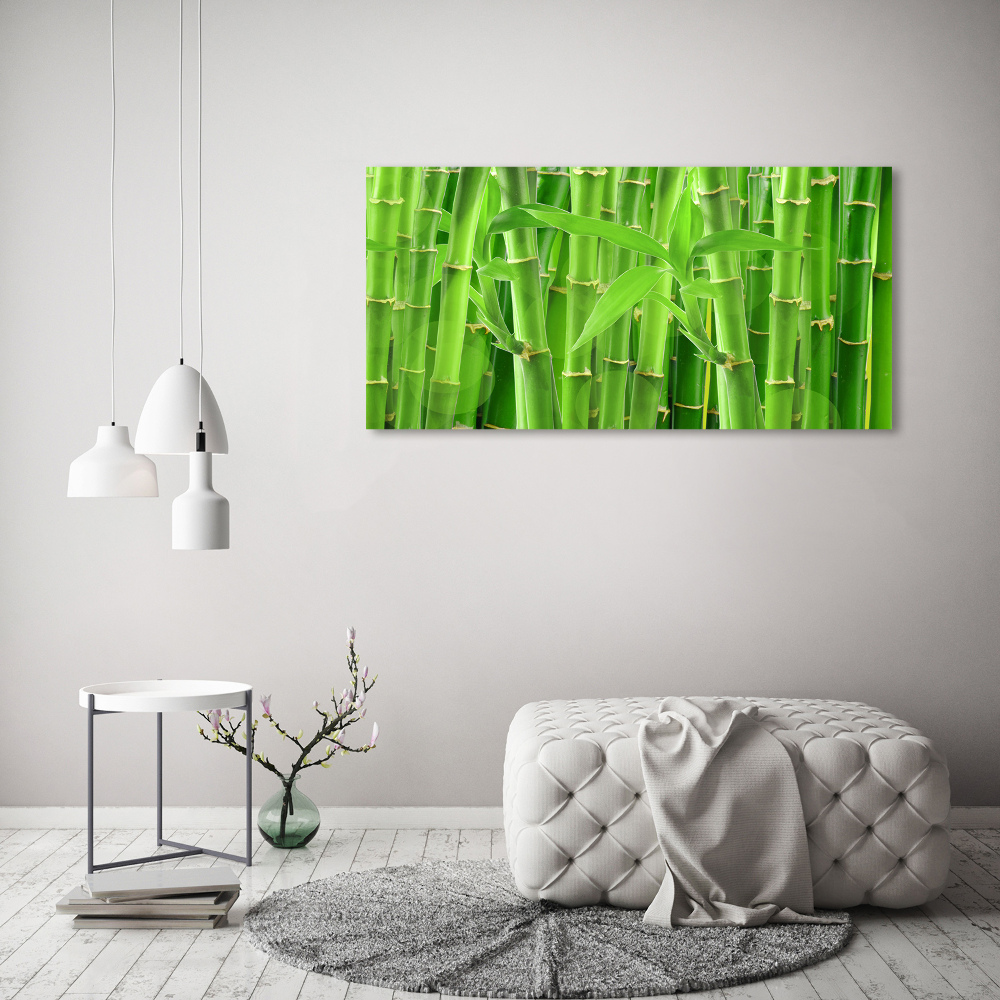 Foto obraz canvas Bambusy