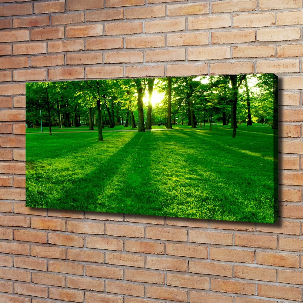 Foto obraz na płótnie Trawa w parku