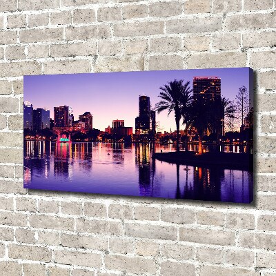 Foto obraz canvas Orlando USA