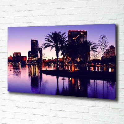 Foto obraz canvas Orlando USA