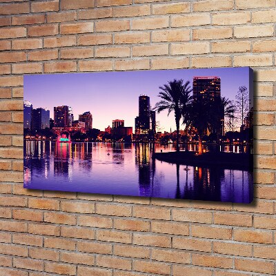 Foto obraz canvas Orlando USA