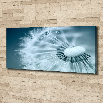 Foto obraz canvas Dmuchawiec