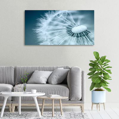 Foto obraz canvas Dmuchawiec