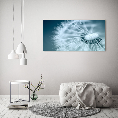 Foto obraz canvas Dmuchawiec