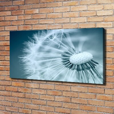 Foto obraz canvas Dmuchawiec