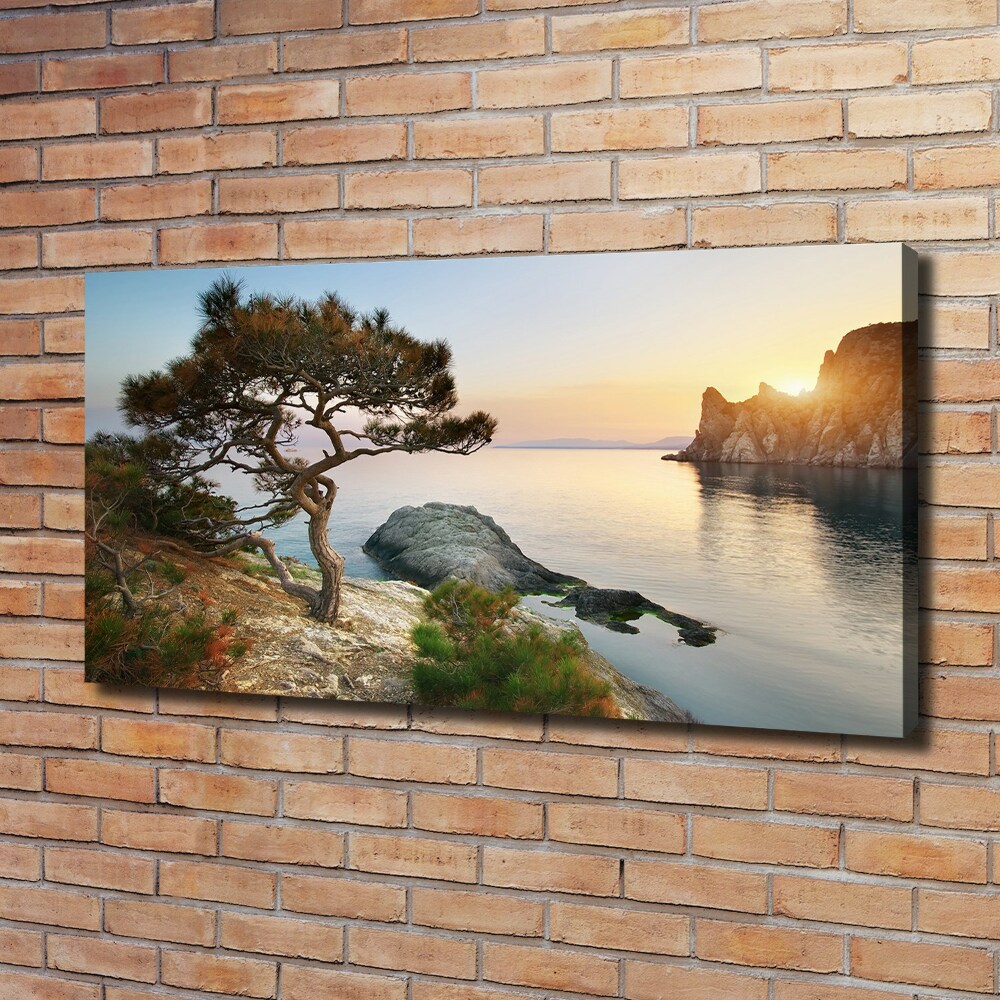 Foto obraz na płótnie Drzewo nad morzem