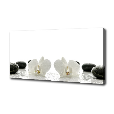 Foto obraz canvas Orchidea