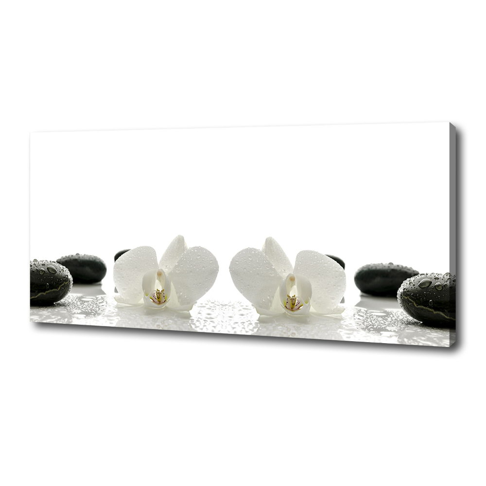 Foto obraz canvas Orchidea