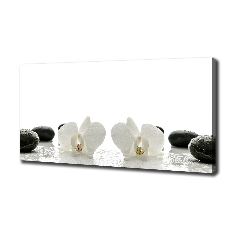 Foto obraz canvas Orchidea