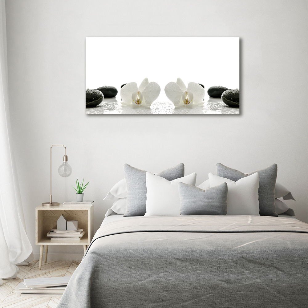 Foto obraz canvas Orchidea