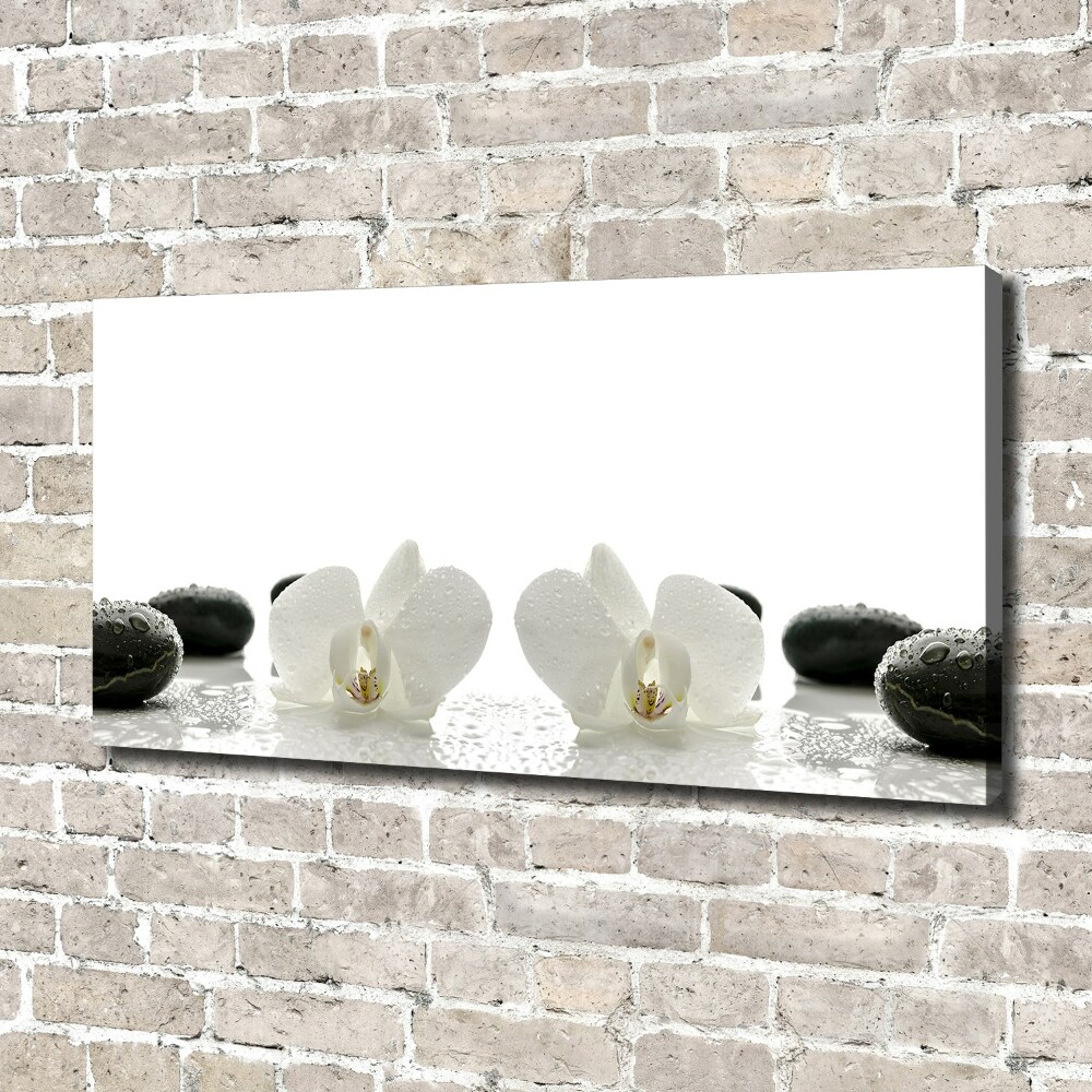 Foto obraz canvas Orchidea